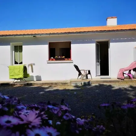 Gite 4 Etoiles - Piscine - Efciac *